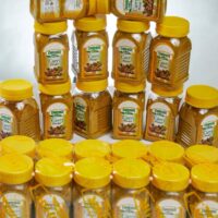 WhatsApp Image 2026 01 13 at 8.31.34 AM